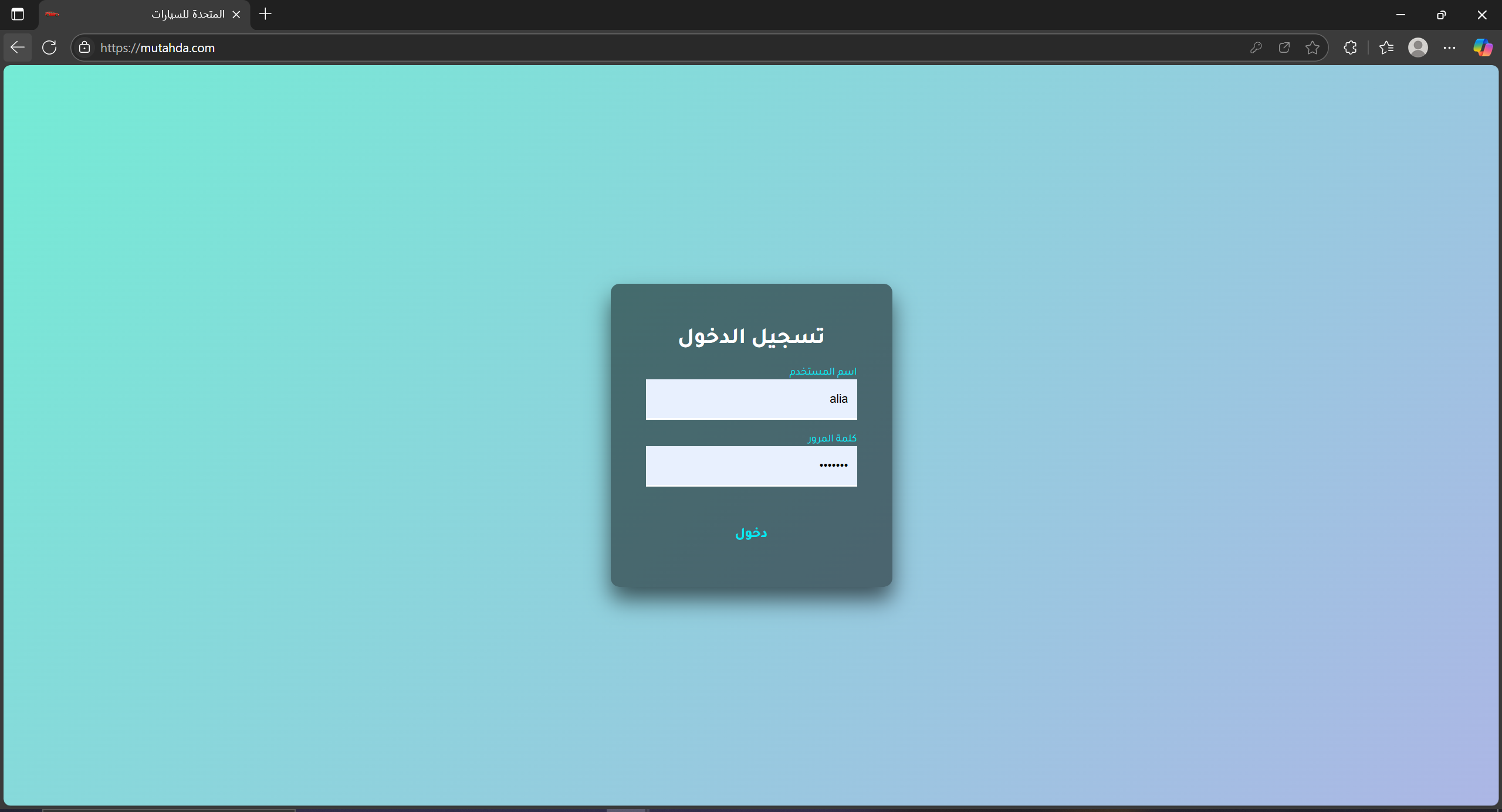 project image
